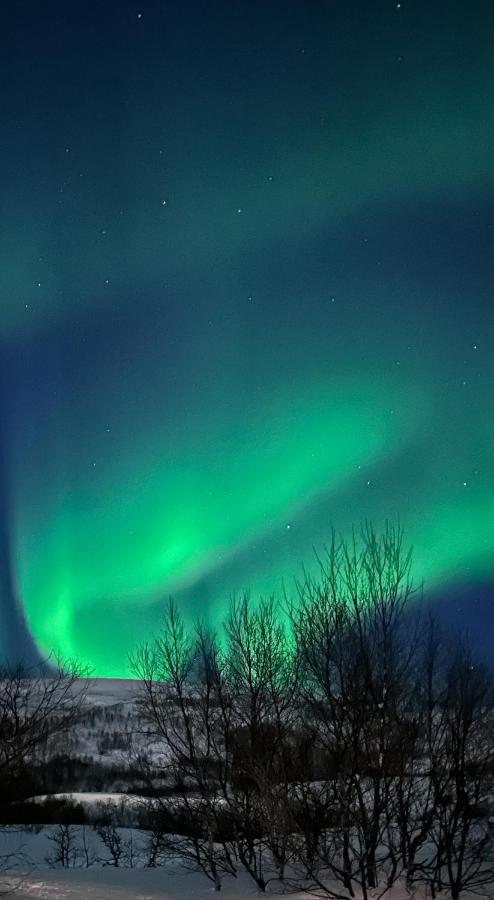 Tromsdalen Aurora Apartments Tromso Bagian luar foto